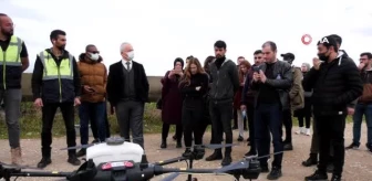 Tohumlar dronela gübrelendi... Aksu Çiftliği'nde drone ile katı gübre uygulaması