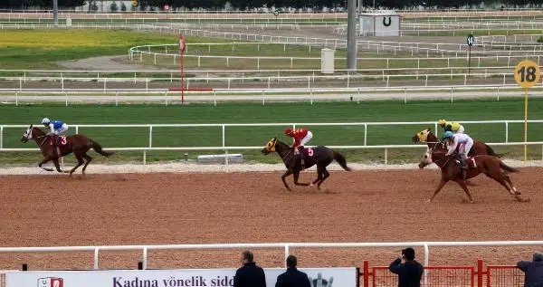 Adana'da 'Özgecan Aslan Bayana Şiddete Hayır Koşusu' düzenlendi