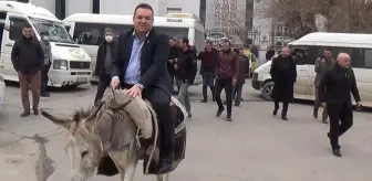 Akaryakıt fiyatlarını protesto eden Gelecek Partili ilçe başkanı eşekten düştü