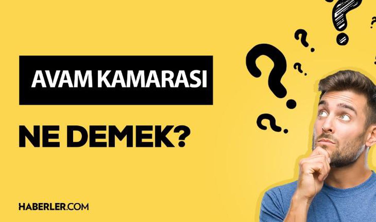 Avam kamarası ne demek? Avam kamarası anlamı ne?