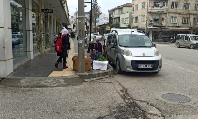 Kaldırımda yarpuz otu satan bayanın tüm eserlerini satın aldı