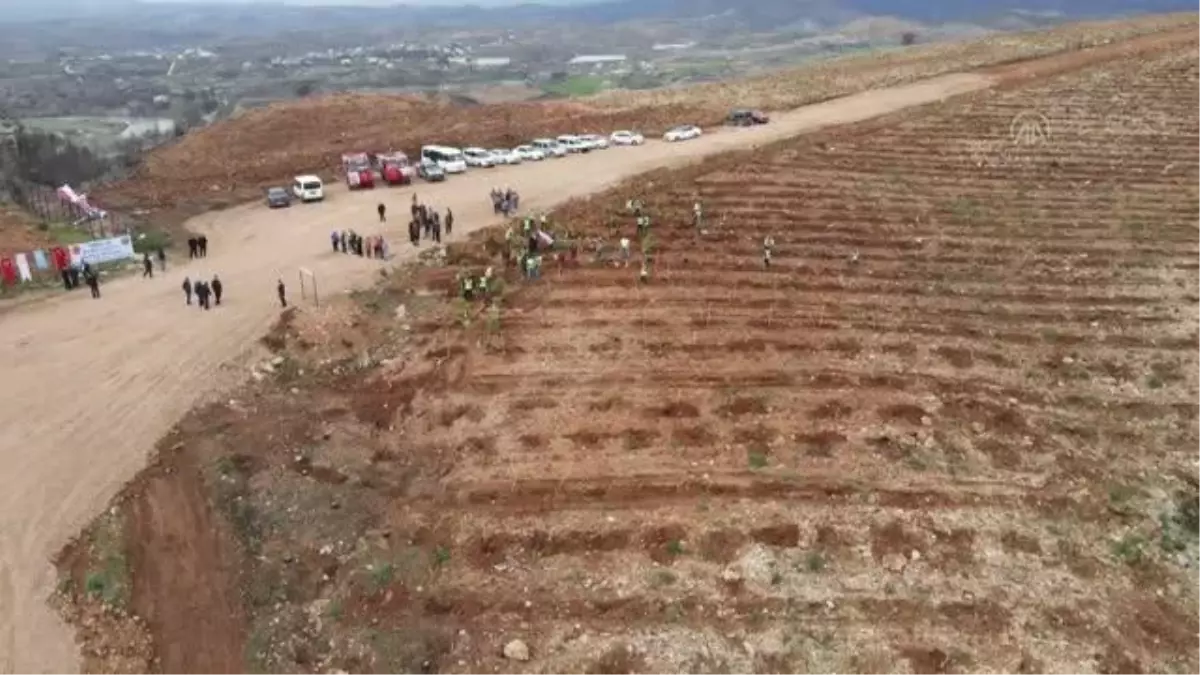 Manavgat'ta yanan alanda Kadın İşçiler Hatıra Ormanı oluşturuldu