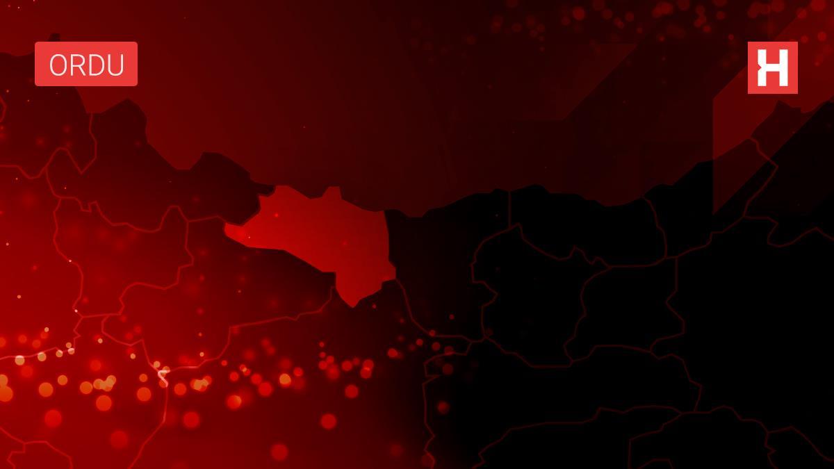 Ordu'da 7 evden hırsızlık yapan 3 şüpheli yakalandı
