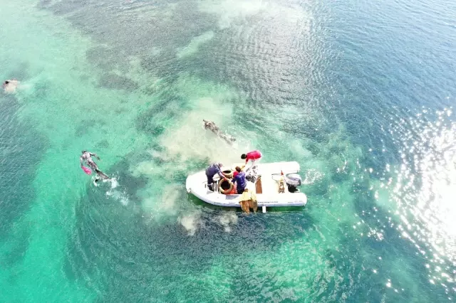 Bodrum'da deniz pırıl pırıl oldu... Dalgıçlar denizin dibinden yaklaşık 1 ton katı atık çıkardı