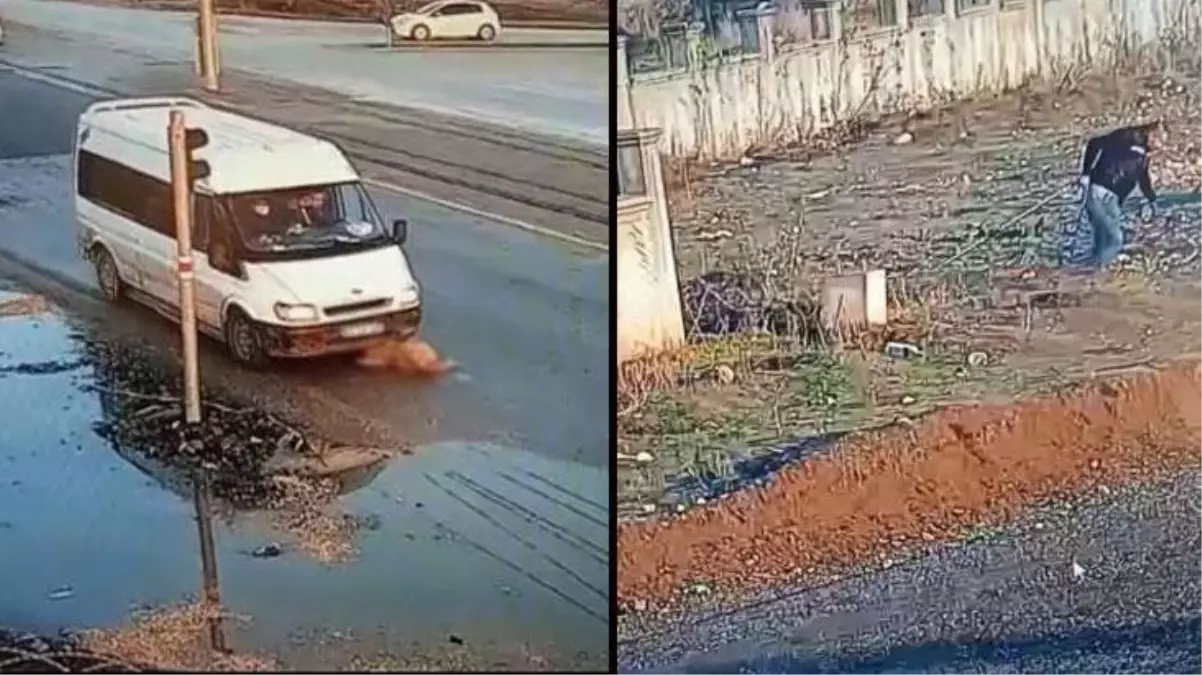 Minibüsün altında kalan köpeğe akılalmaz muamele! Barınak çalışanı açığa alındı