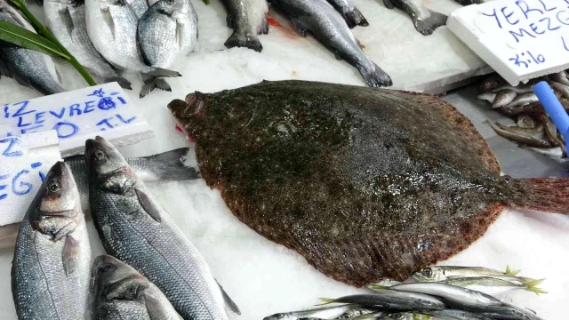 Sinop'ta yakalanan 5 kiloluk kalkan balığı 3 bin liraya satıldı