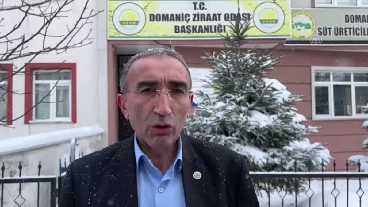 Domaniç'in yağlık ayçiçeği üretimini destekle artacak