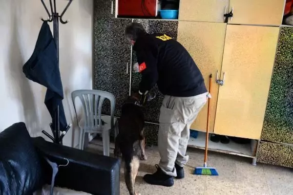 TORBACI, PİTBULL KÖPEKLERLE KORUNUYOR