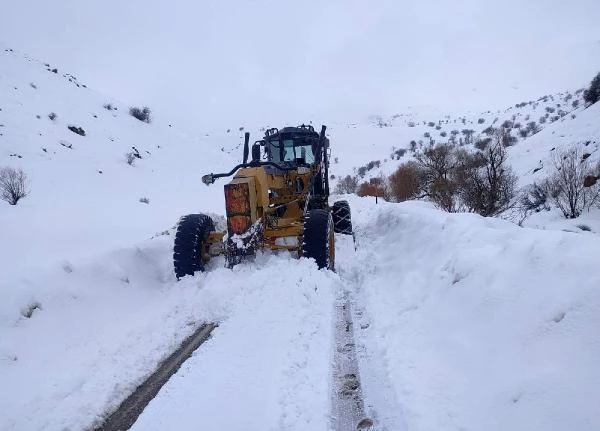 Van ve Bitlis'te 445 yerleşim yerinin yolu ulaşıma kapandı