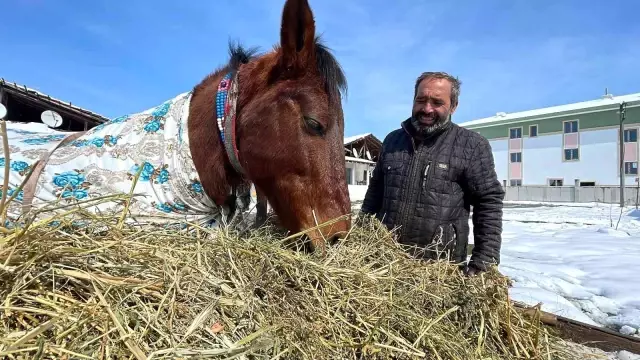 At yorulunca, arabayı çekti