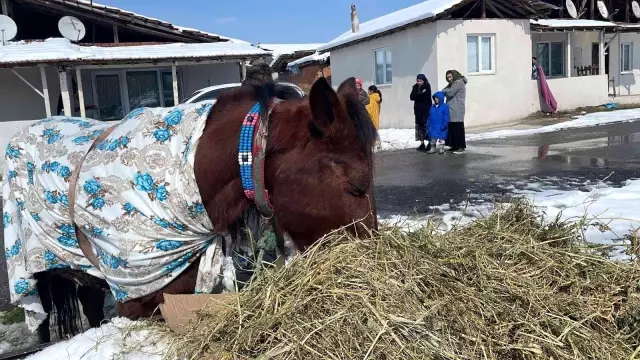 At yorulunca, arabayı çekti