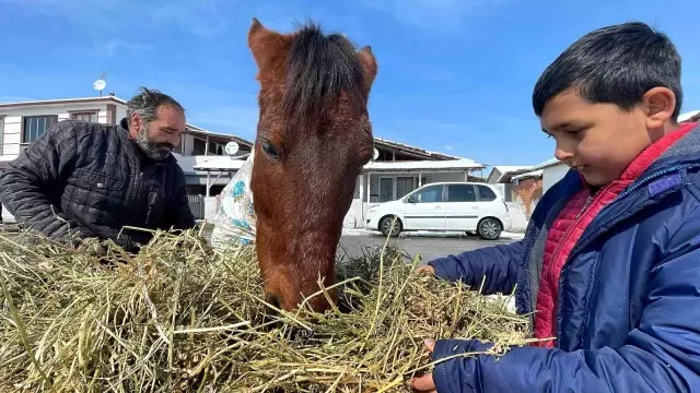 At yorulunca, arabayı çekti