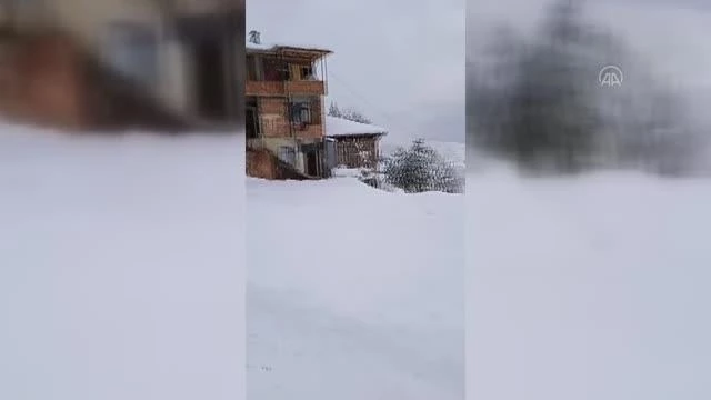 Trabzon'da karda mahsur kalan küçükbaş hayvanlar belediye gruplarınca kurtarıldı