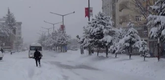 Ahlat'ta kar yağışı etkili oldu