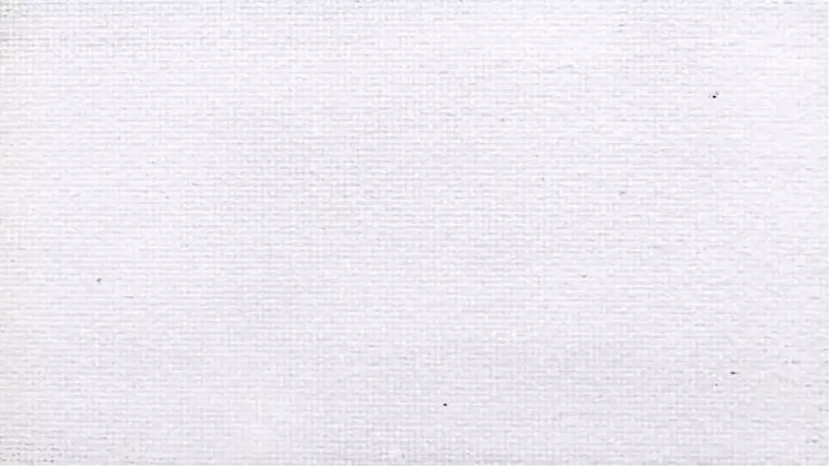 Dünyanın İlk Sanal Vatandaşı Maltalı