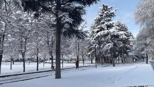 Kar yağışı kenti beyaza bürüdü (2)
