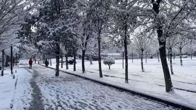 Kar yağışı kenti beyaza bürüdü (2)