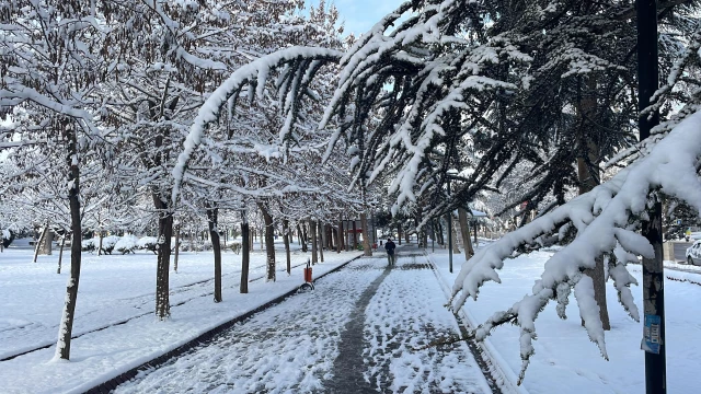 Kar yağışı kenti beyaza bürüdü (2)