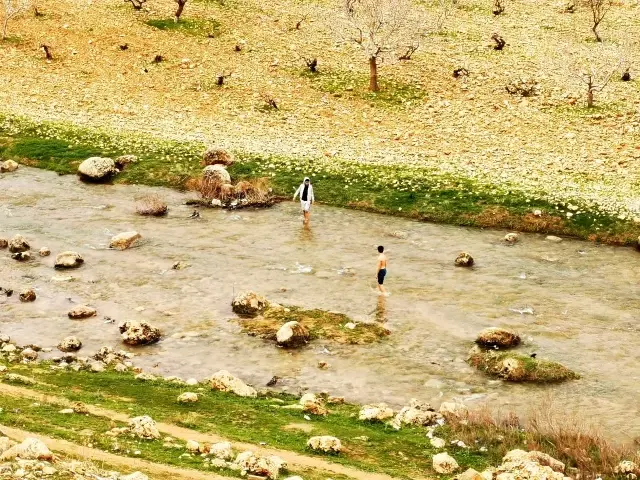 Mardin'de çocuklar soğuk havada derede yüzdü