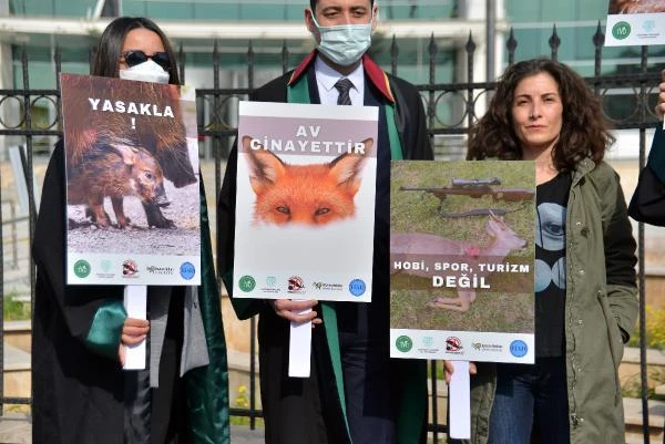Adana ve 4 vilayette yaban keçisi av ihalesi iptal edildi