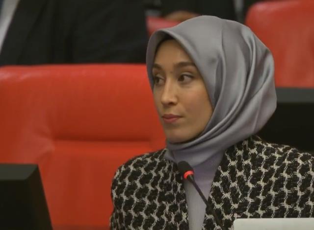 Cumhurbaşkanı Erdoğan'ın serzenişinden sonra kolları sıvayan Rümeysa Kadak, İmamoğlu'na yüklendi Cumhurbaşkanı Erdoğan'ın serzenişinden sonra kolları sıvayan Rümeysa Kadak, İmamoğlu'na yüklendi