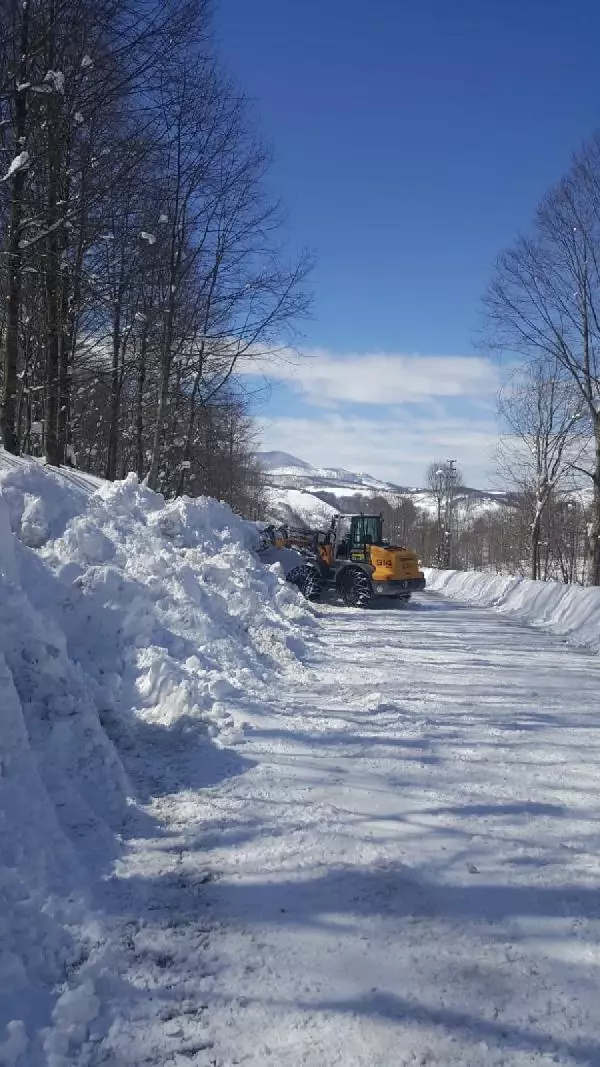 Doğu Karadeniz'de 305 yerleşim yerinin yolu kardan kapalı