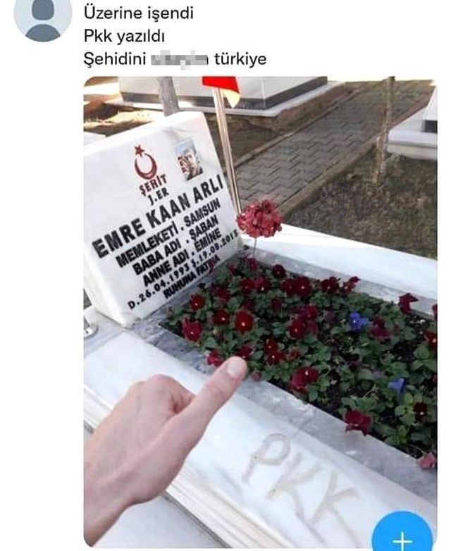 sehit mezarlarina saldirmisti cezai ehliyeti 2 14802130 o