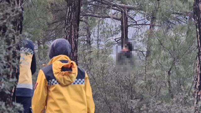 Ağaca asılı bulunan lise öğrencisiyle ilgili kahreden detay! Uzun bir tüp bebek tedavisi sonrası dünyaya gelmiş