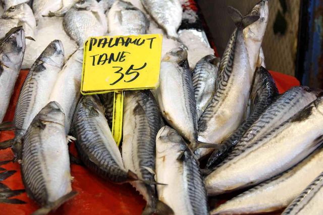 marmara da etkili olan kar yagisi balik 7 14807153 o