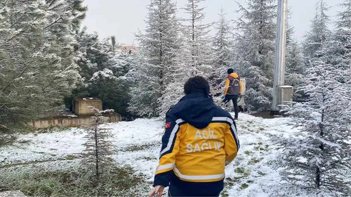 Gezintiye çıkan çocuklar ağaca asılı ceset buldu