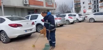 Sokak hayvanları temizlik görevlisinin en yakın dostu oldu