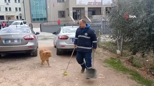 Sokak hayvanları paklık görevlisinin en yakın dostu oldu