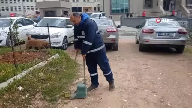 Sokak hayvanları paklık görevlisinin en yakın dostu oldu