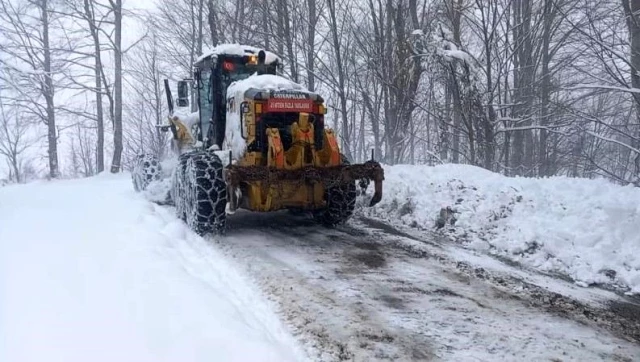 Yoğun kar yağışı 120 köy yolunu ulaşıma kapattı