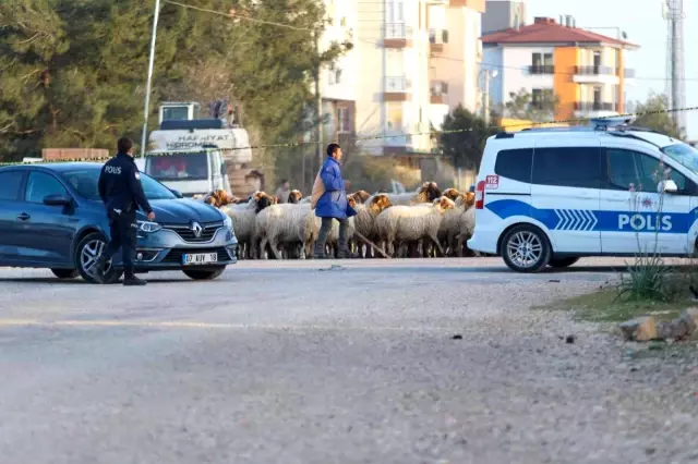 4 gündür park halinde olan aracın bagajından kanlar içinde erkek cesedi çıktı