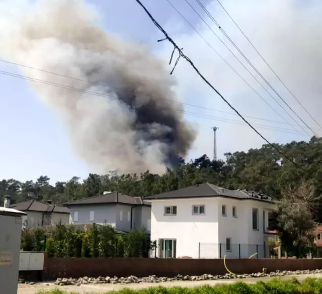 Muğla'da ormanlık alanda korkutan yangın! Yükselen alevler, vatandaşları endişelendirdi