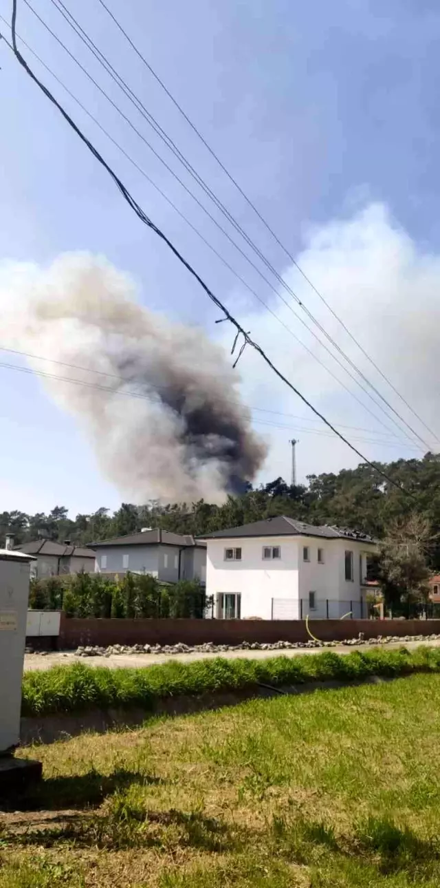 Muğla'da ormanlık alanda korkutan yangın! Yükselen alevler, vatandaşları endişelendirdi