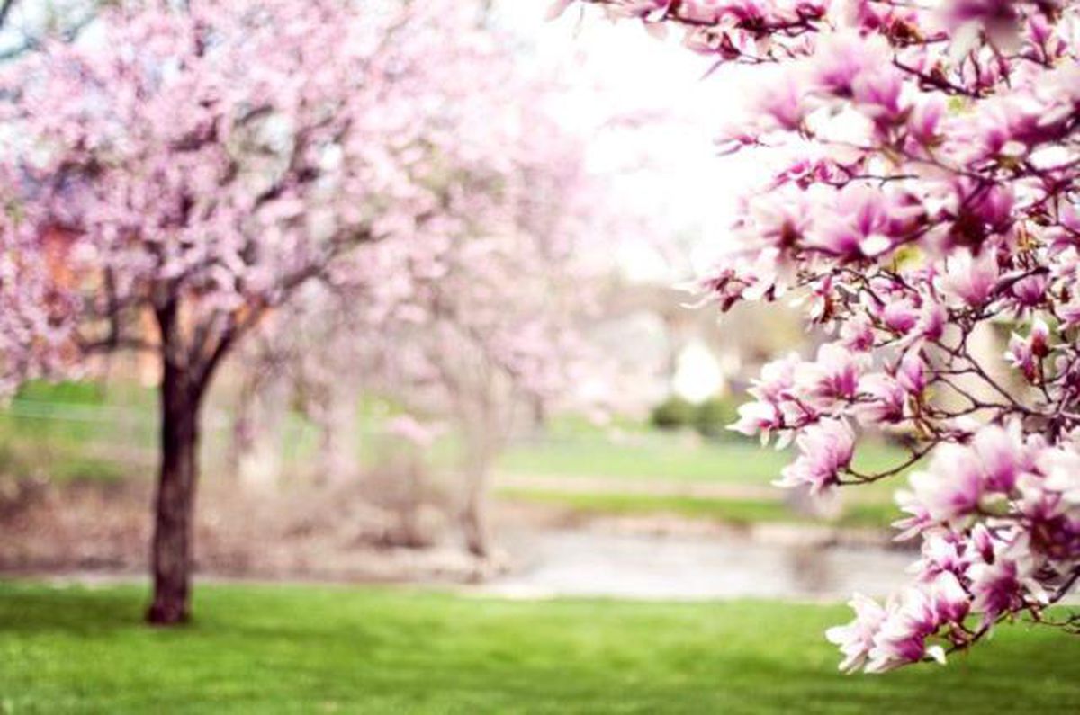Nevruz kutlamak günah mı? Nevruz'un dinimizdeki yeri nedir? Nevruz kutlamak caiz mi, caiz değil mi?