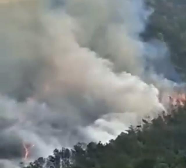Son dakika: Çin'de 133 yolcuyu taşıyan uçağın düştüğü alanda yangın çıktı! Kaza yerinden birinci manzaralar geldi