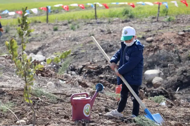 Adana'da orman yangınında ziyan gören alan fidanla buluşturuldu