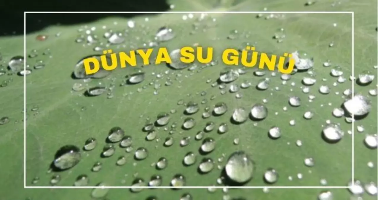 Dünya Su Günü ne zaman? Dünya Su Günü ne zaman kutlanmaya başladı?