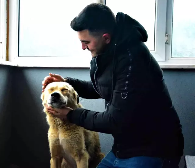 felcli kopegi hayata baglayan sevgi 6 14814916 o