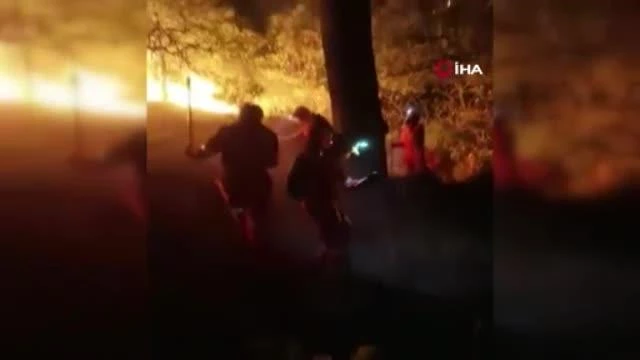 Son dakika haberleri: Meksika'da uyuşturucu bağımlısı ormanlık alanı ateşe verdi