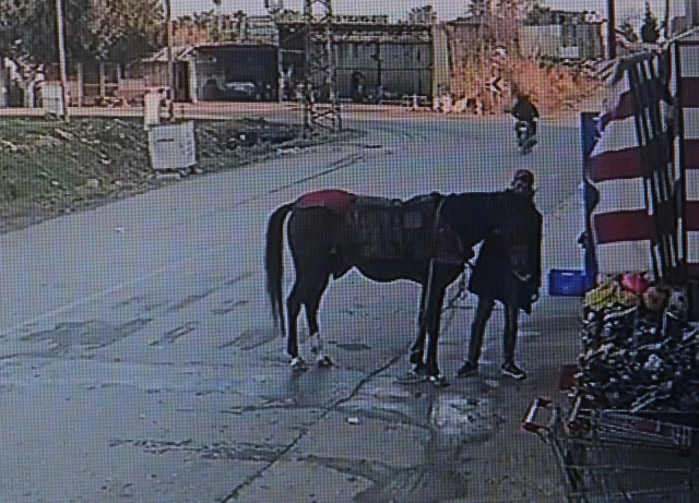 Hırsızın çaldığı atla markete daldığı anlar kamerada