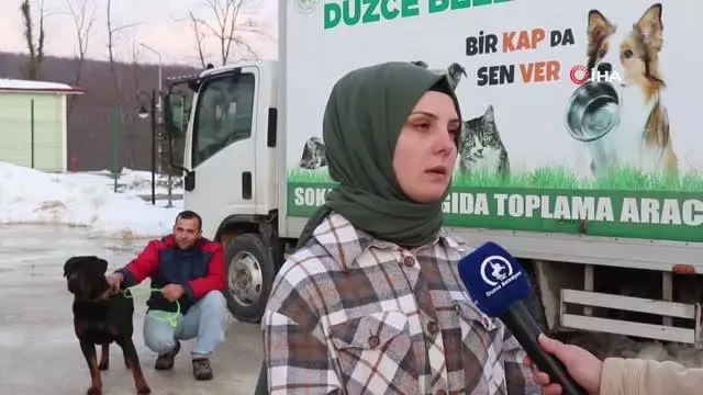 Sahibinden şiddet gören köpek yeni yuvasına kavuştu