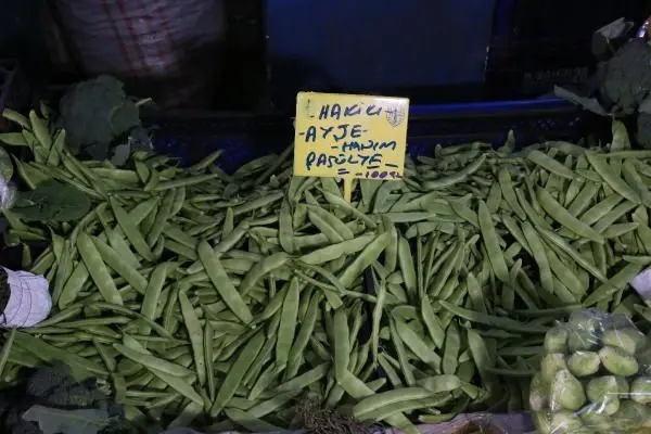 Üretimi az olduğu için fiyat uçtu! Ayşekadın fasulyenin kilosu 100 lira Üretimi az olduğu için fiyat uçtu! Ayşekadın fasulyenin kilosu 100 lira