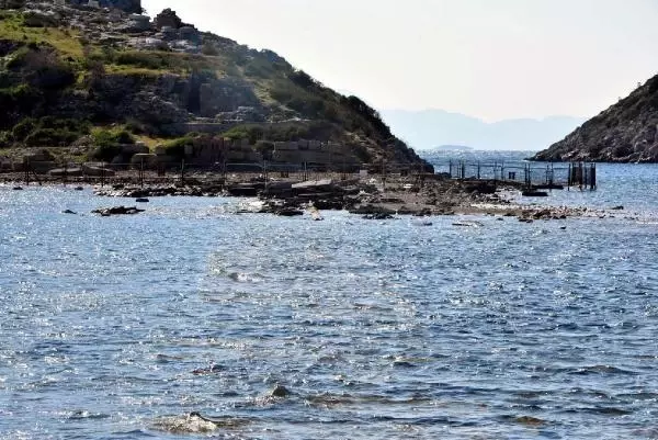 BODRUM'DA DENİZ ÇEKİLDİ, TARİHİ KRAL YOLU ORTAYA ÇIKTI