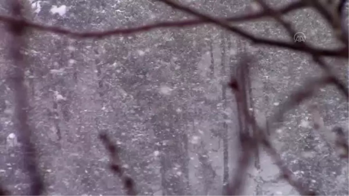 Şenkaya'da kar yağışı etkisini sürdürüyor