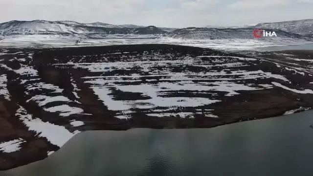 Geleceğin 150 dönümlük ormanı keçilere yem oldu