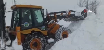 Giresun'da karla mücadele çalışmaları devam ediyor
